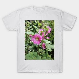 mallow T-Shirt